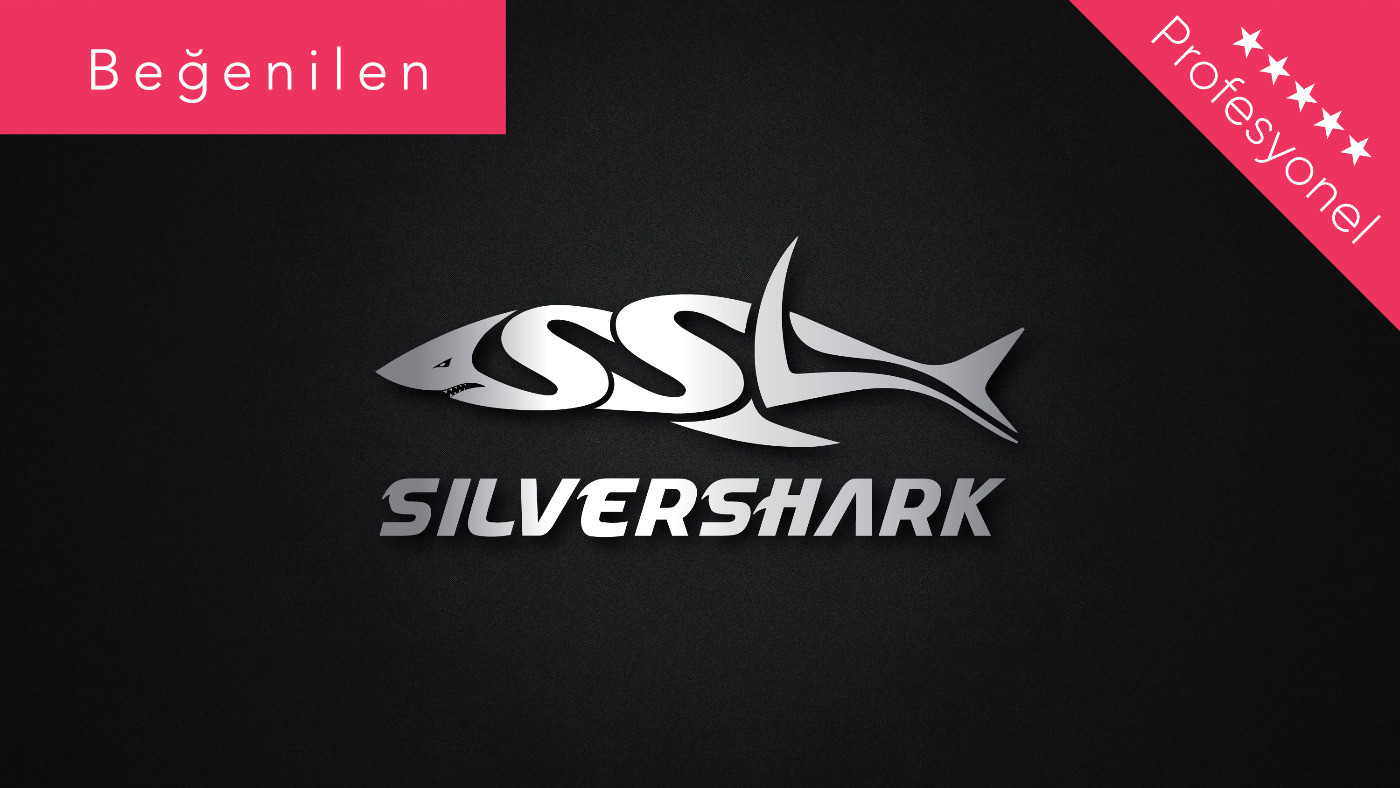Logo çalışması
